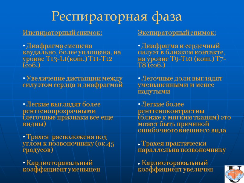 Инспираторный снимок:   Диафрагма смещена каудально, более уплощена, на уровне Т13-L1(кош.) Т11-Т12 (соб.)